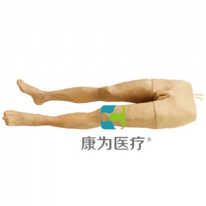 “康為醫(yī)療”大隱靜脈通液訓(xùn)練模型,大隱靜脈切開置管訓(xùn)練模型,大隱靜脈通液操作模