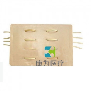 “康為醫(yī)療”不定性血管結扎模型