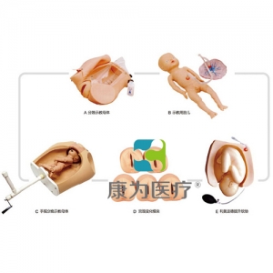 “康為醫(yī)療”高級腹部觸診、分娩機(jī)轉(zhuǎn)綜合模型