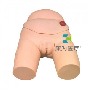 “康為醫(yī)療”高級整體女性導(dǎo)尿模型