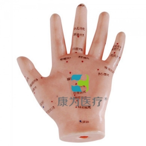 “康為醫(yī)療”手針灸模型13CM