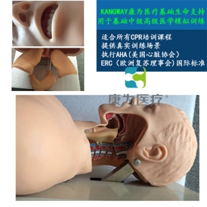 “康為醫(yī)療”高級電子氣管插管訓(xùn)練模型(帶報(bào)警)氣管插管訓(xùn)練模型
