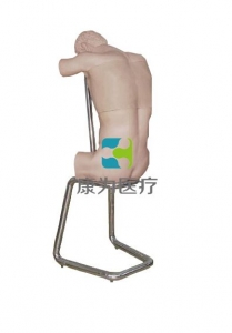 “康為醫(yī)療”胸腔（背部）穿刺訓(xùn)練模型（基礎(chǔ)版，升級版）