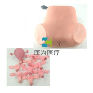 高級婦科綜合檢查模型(婦科雙合診、三合診檢查模型）