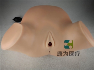 高端產(chǎn)科四步觸診、肛查、陰道檢查訓(xùn)練模型