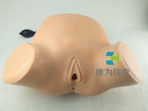 “康為醫(yī)療”婦產(chǎn)科四步觸診肛查陰道檢查監(jiān)測(cè)考核指導(dǎo)模型,高級(jí)腹部觸診、分娩機(jī)轉(zhuǎn)綜合模型