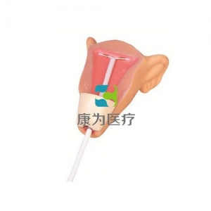 “康為醫(yī)療”高級宮內(nèi)避孕器訓(xùn)練模型