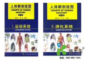 醫(yī)學(xué)教學(xué)彩色掛圖、軟件、光盤