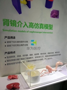 泌尿外科手術(shù)模擬器,泌尿系統(tǒng)結(jié)石手術(shù)介入模擬器-腎軟鏡介入模擬系統(tǒng),腎結(jié)石軟鏡手術(shù)模擬裝置，腎鏡介入手術(shù)仿真模型