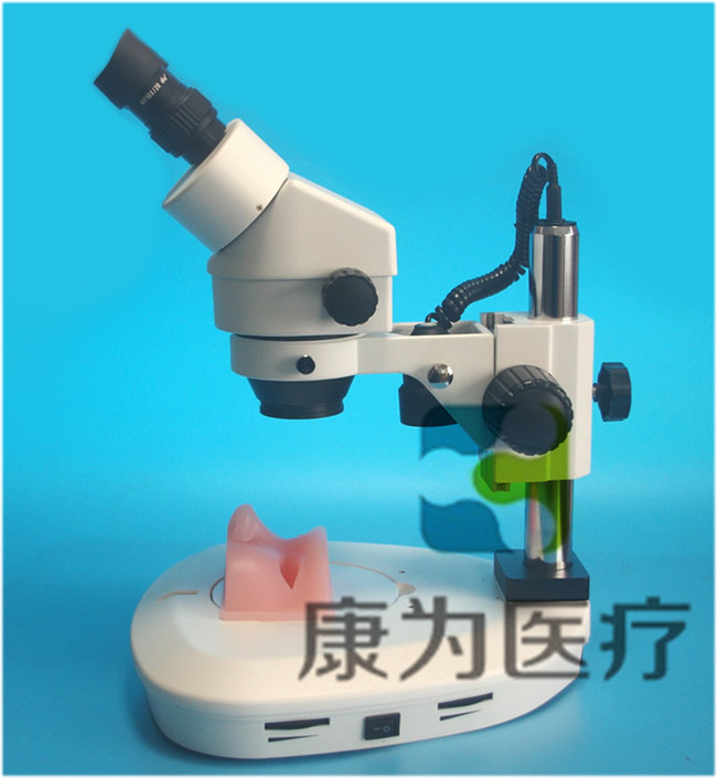 眼科顯微手術(shù)訓(xùn)練模擬器（視網(wǎng)膜、白內(nèi)障手術(shù)）