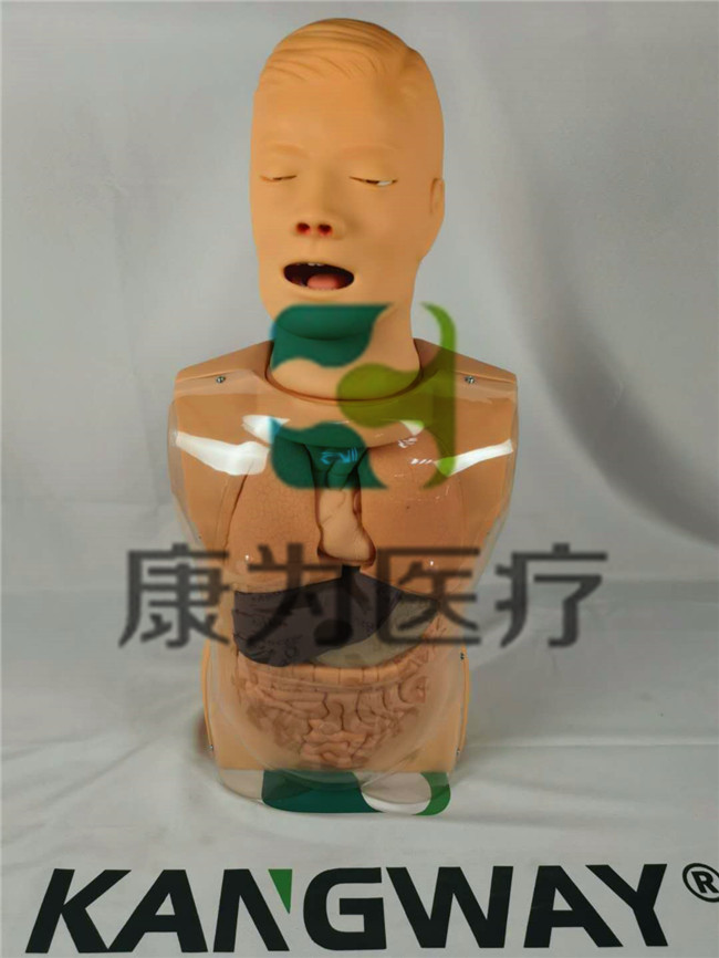高級鼻淚管通液訓(xùn)練模型,淚道沖洗訓(xùn)練模型,淚道探通術(shù)訓(xùn)練模型