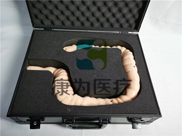 “康為醫(yī)療”結腸鏡介入手術模擬器