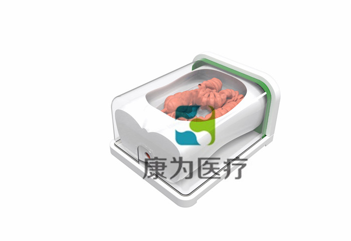 腸鏡手術(shù)訓練模擬器