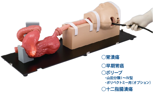 日本進口胃鏡手術(shù)訓練模擬器